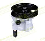 Steering Pump RENAULT 491100246R